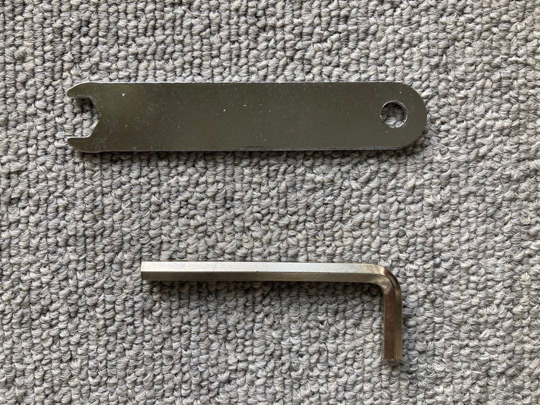 STRIDER 12インチ日本正規品　ブラック　プロテクター付き