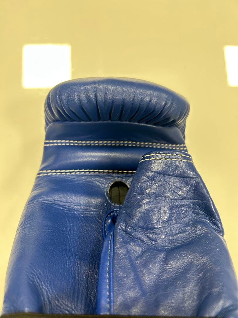 WINDY PROTON ボクシンググローブ3点セット