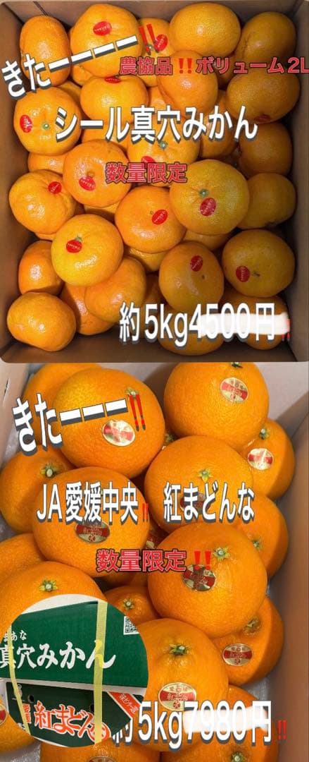 激安きたーー‼️最強コラボ‼️紅まどんな約5k真穴みかん約5kセット8888円3