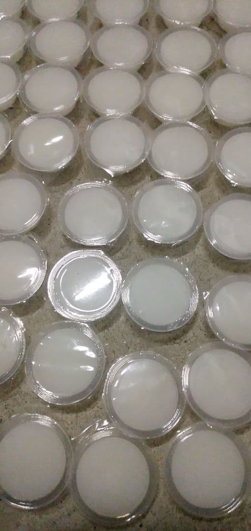 昆虫ゼリー　高栄養★ドルクスゼリー1000個★最安値２ケース