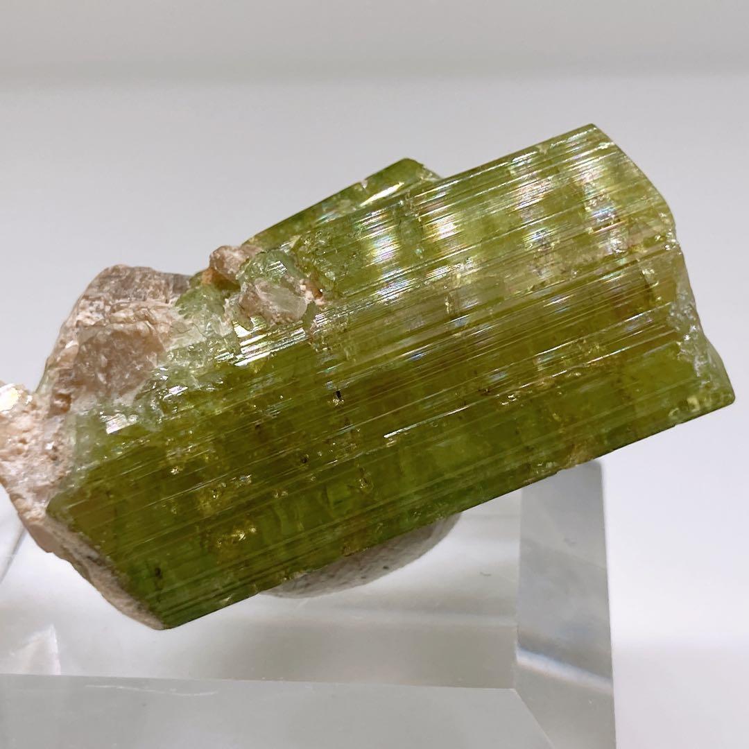 トルマリン　ウォーターメロントルマリン　鉱物標本　原石　305