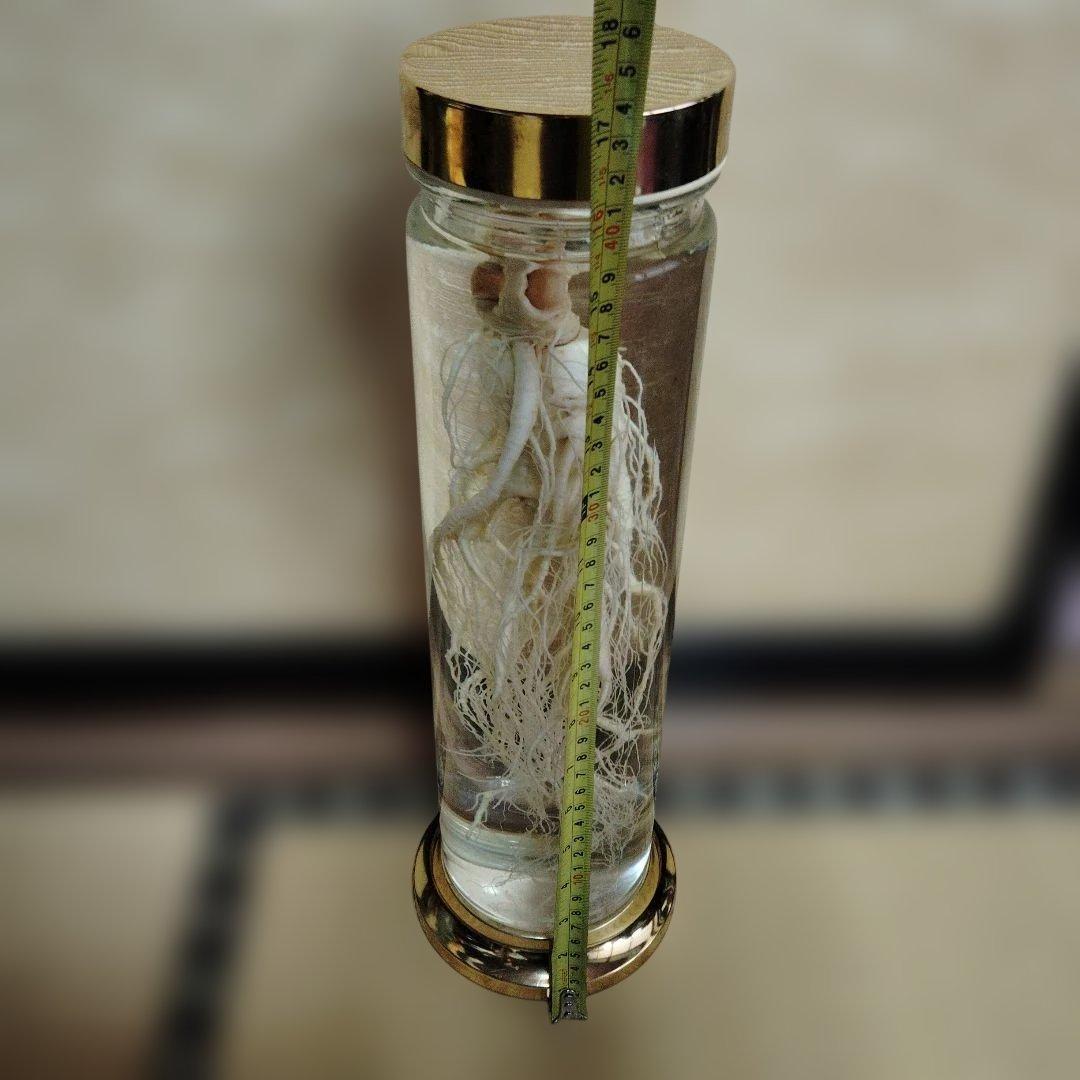 【値段相談可】高麗人参酒 希少古酒