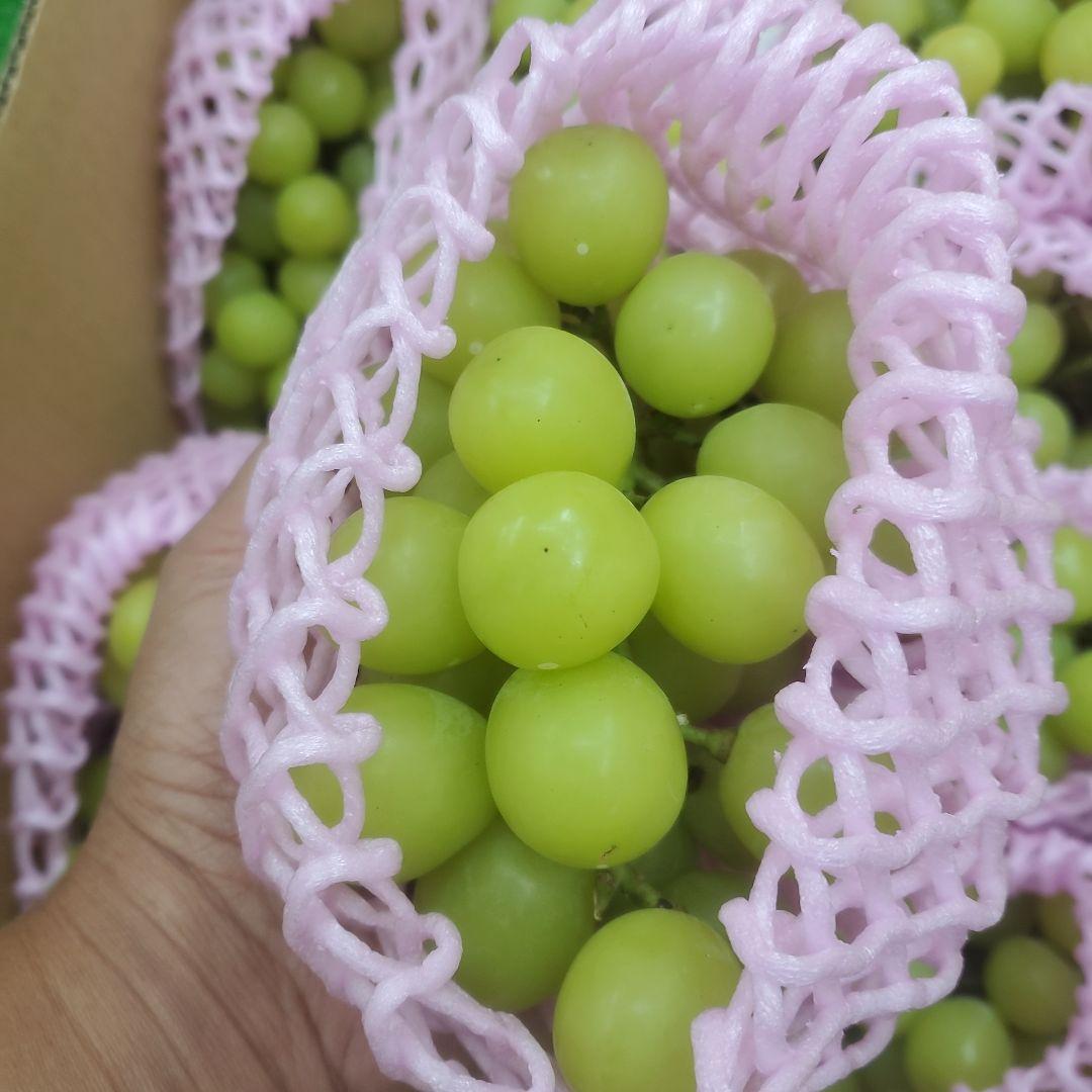 4️⃣ 山梨県産 シャインマスカット １１房 箱込み5.3キロ