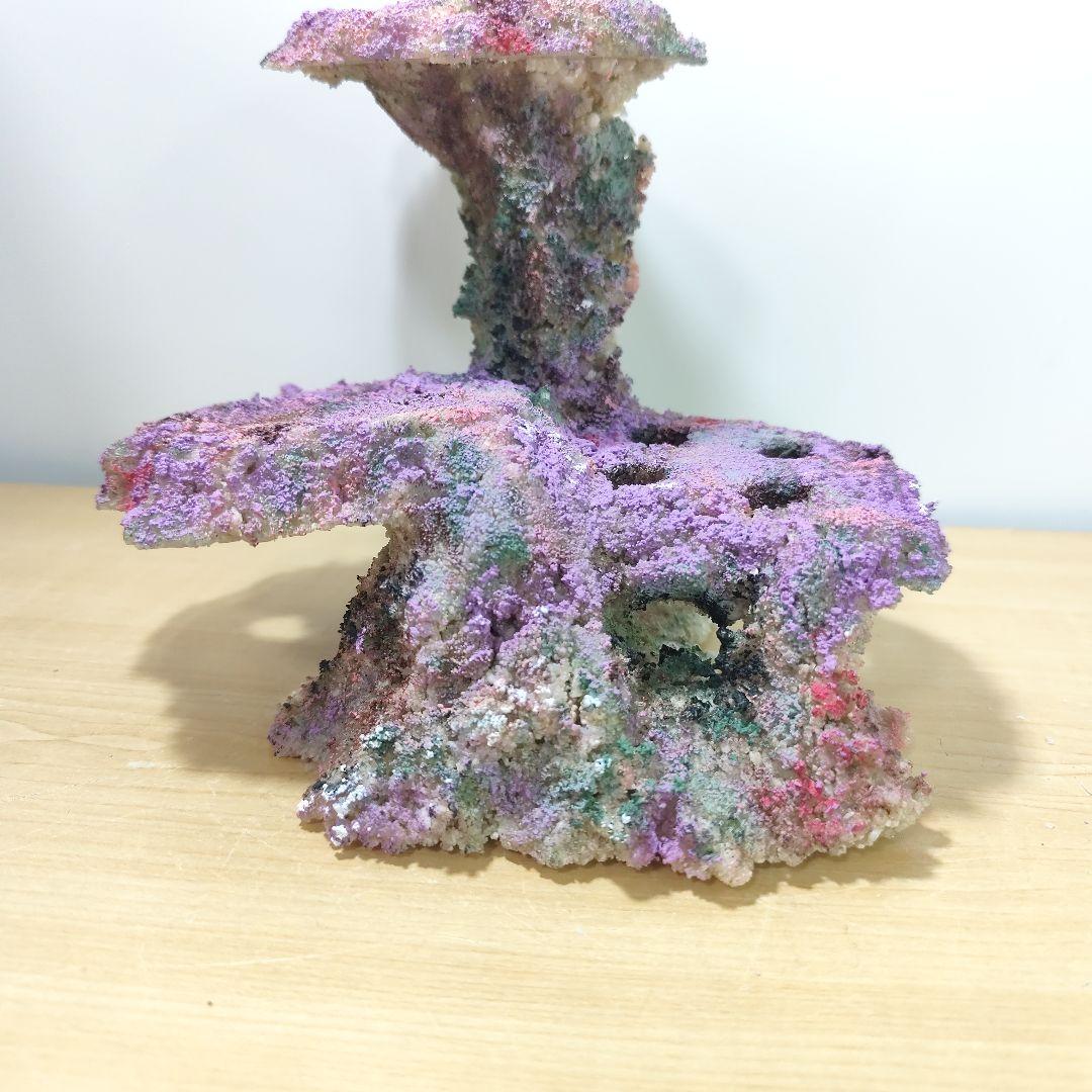 プラグ穴付き アク抜き不要人工ライブロック 海水水槽 レプリカ コーラルフラグ5