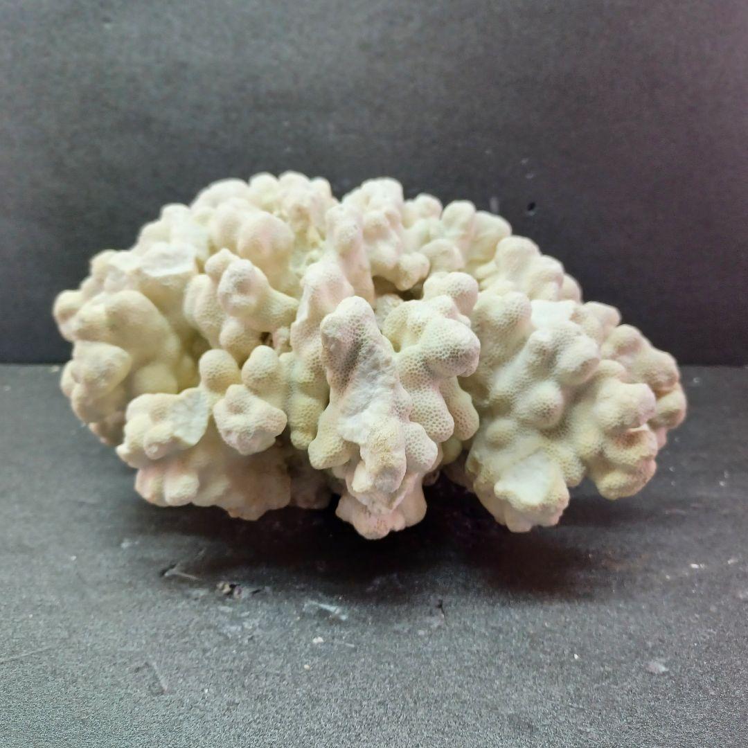 MURANO de majo デマヨ社製 1988'ムラーノ グラス 大皿