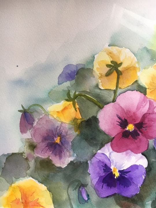 水彩画原画パンジー花の絵