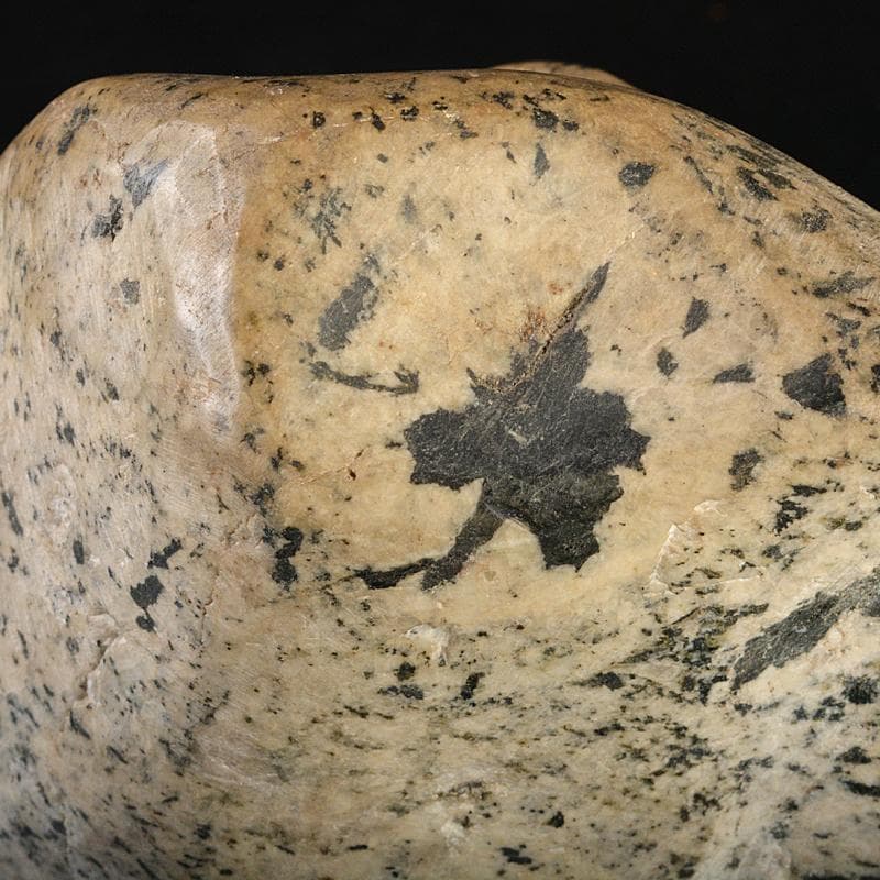 天然石　鑑賞石　ナポレオン石　時計石　置物　重さ約4.7kg　C　R7074