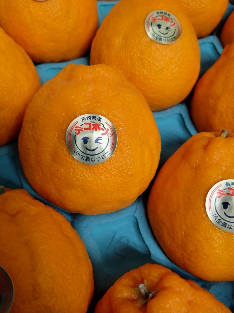 長崎マルナン「デコポン®」２箱セット