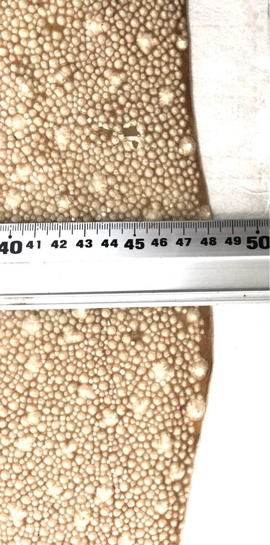 【希少】鮫皮　【梅花皮】