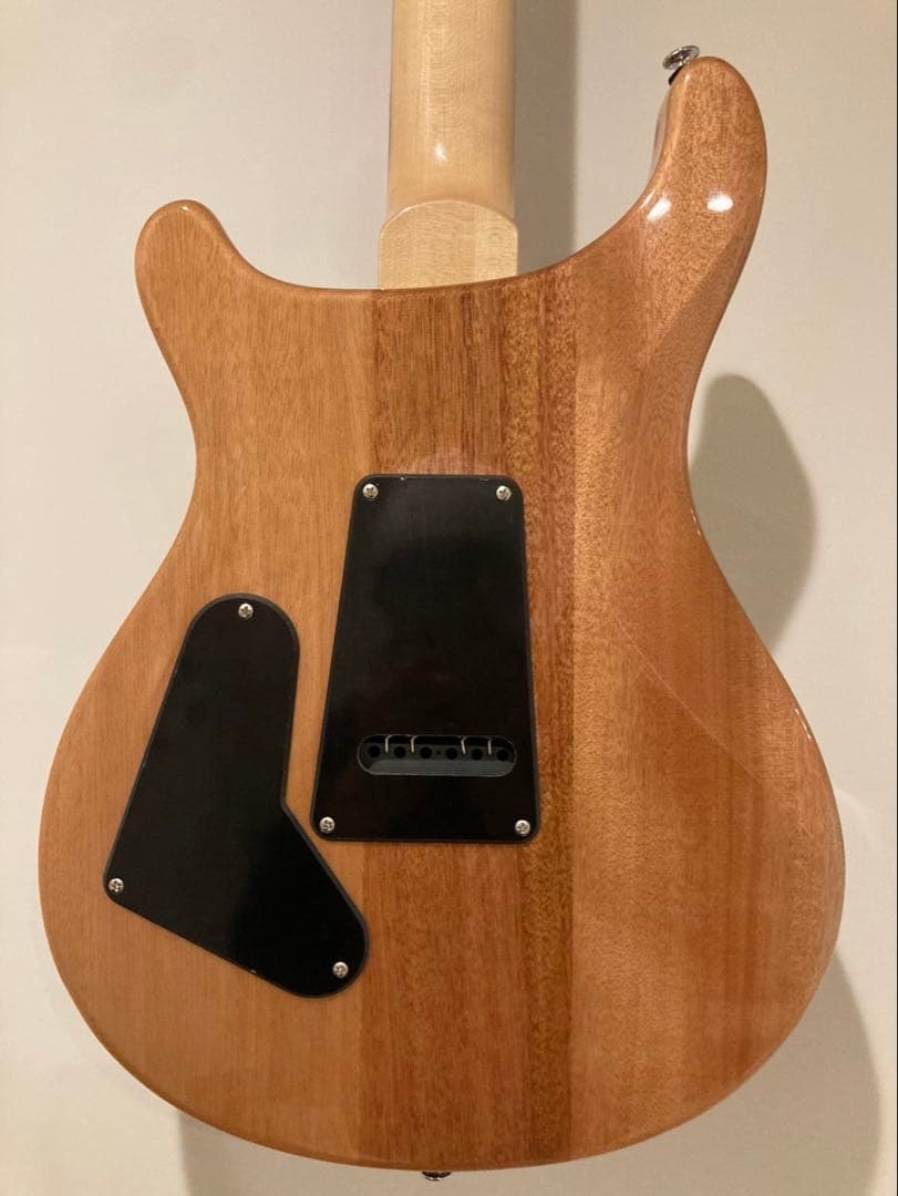 PRS SE CUSTOM 24 Trampas Green ほぼ新品美品