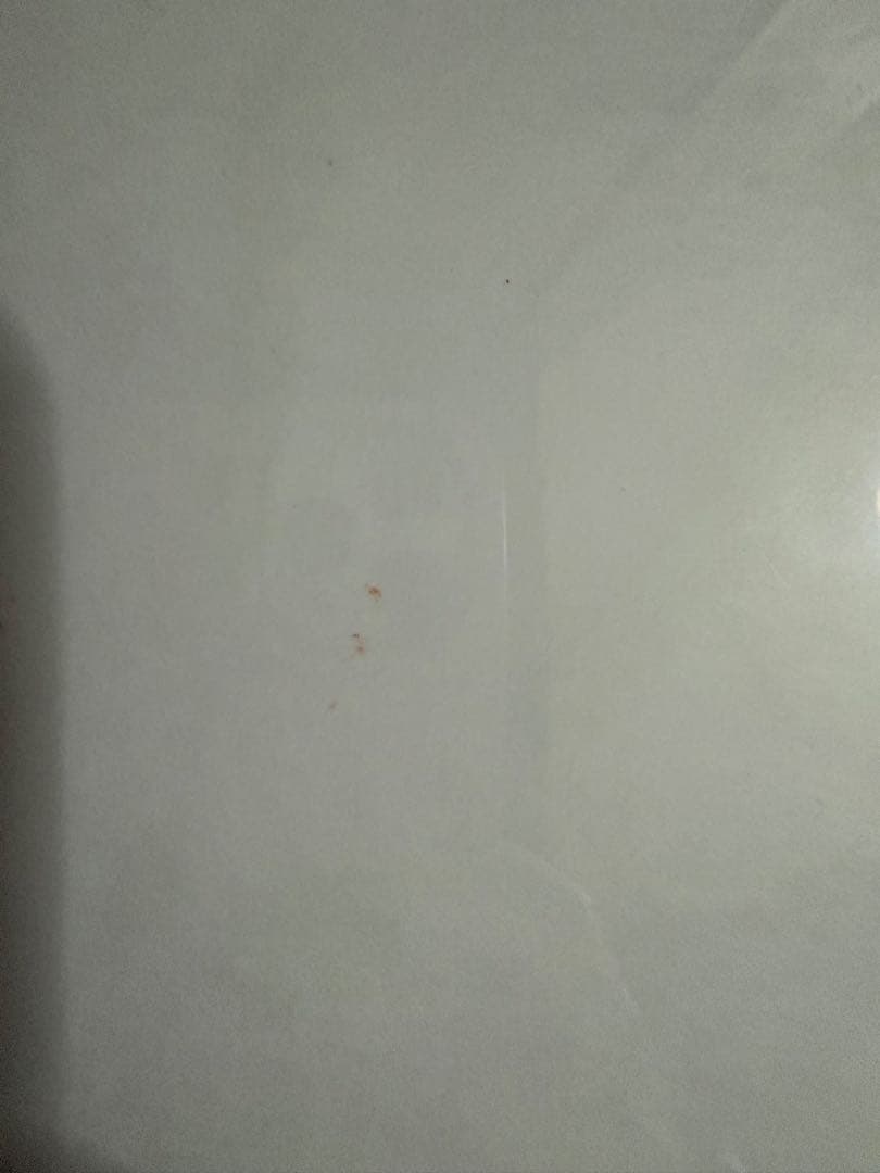 桜田ひより本人直筆サイン入り手形色紙【イベント抽選当選品】【非売品】在庫1点限り