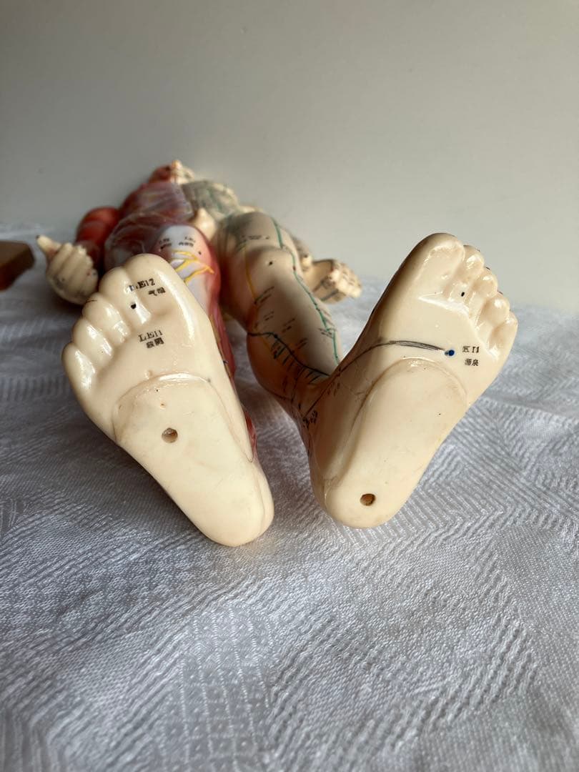 人体経絡経穴モデル　鍼灸整体ツボ　東洋中医学教材　男性人形模型　56㎝