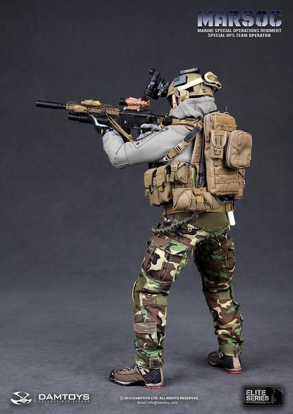 DAMTOYS　MARSOC　TEAM OPERATOR　78007