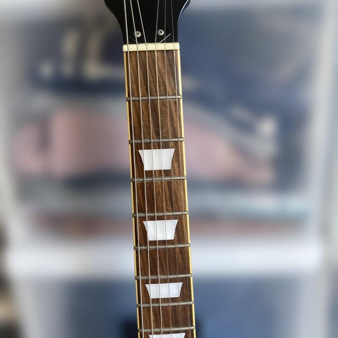 【送料無料】PhotoGenic レスポール スタンダード　LP-260