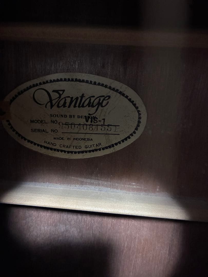 Vantage VIS-1 ヴァンテージ　アコースティックギター　マホガニー