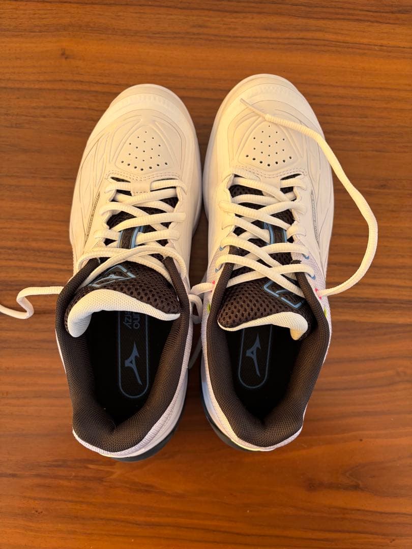 ミズノ　バドミントンシューズ 24.5cm 2E WAVE FANG 2