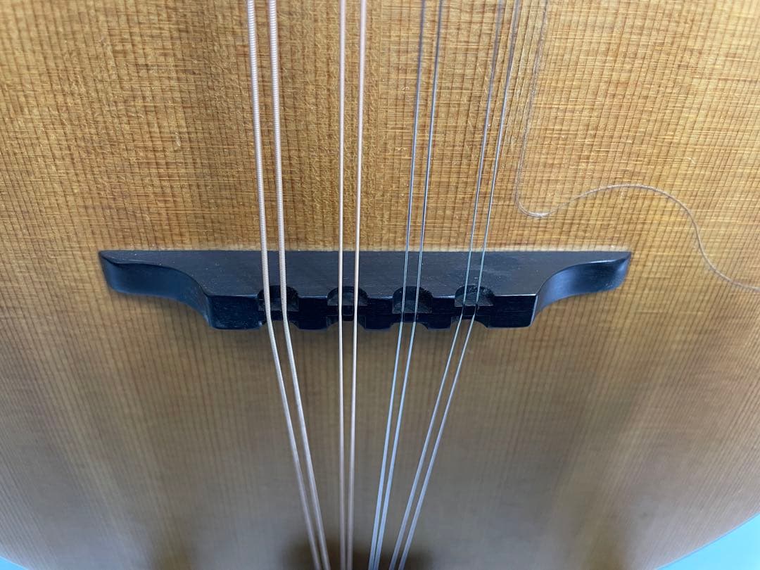 タコマ/Tacoma フラットマンドリン m-1