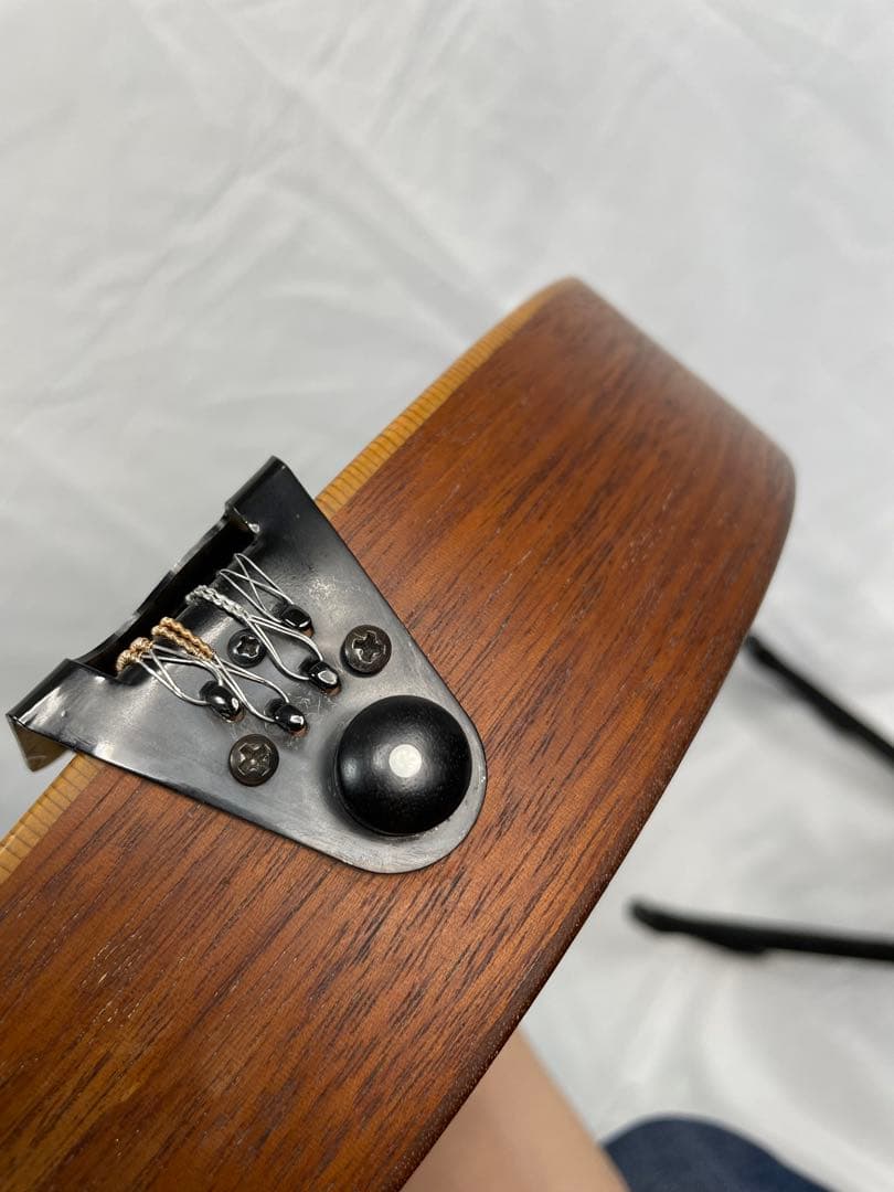 タコマ/Tacoma フラットマンドリン m-1