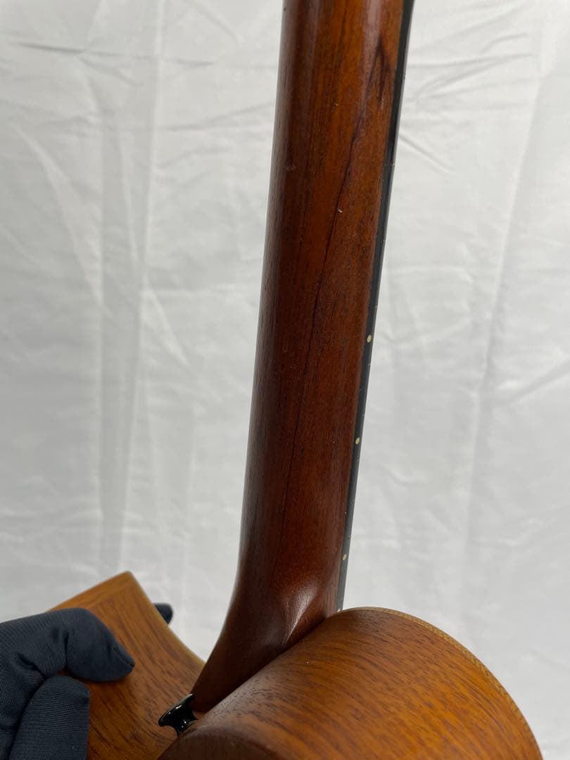 タコマ/Tacoma フラットマンドリン m-1