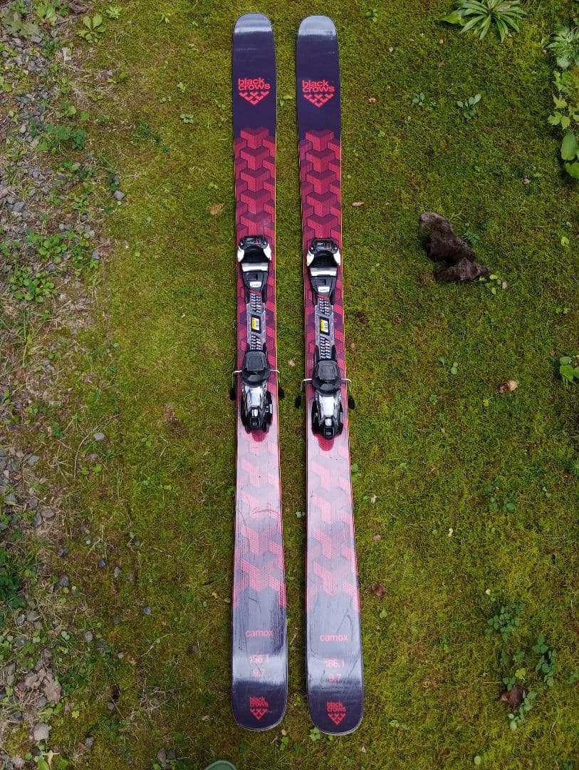 blackcrows camox 186 & marker パウダースキー