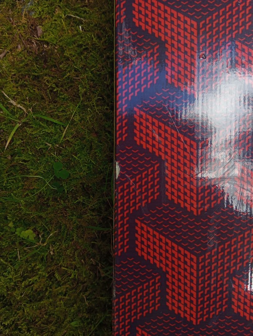 blackcrows camox 186 & marker パウダースキー