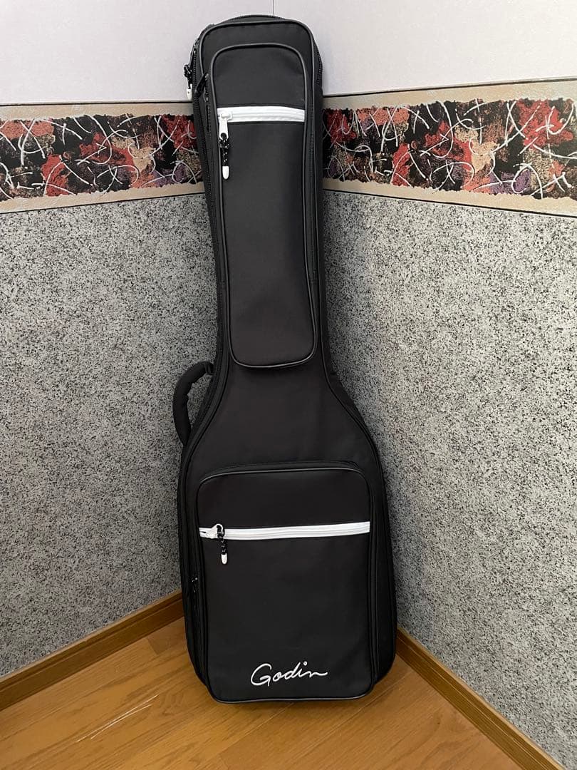 GODIN　ゴダン　Stadium HT テレキャスター