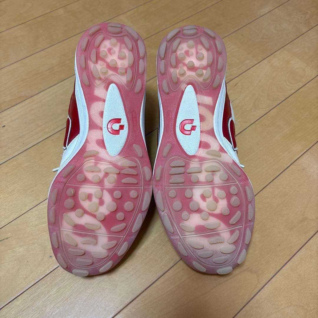 デスポルチ　サンルイスLL TD LTD 20周年モデル