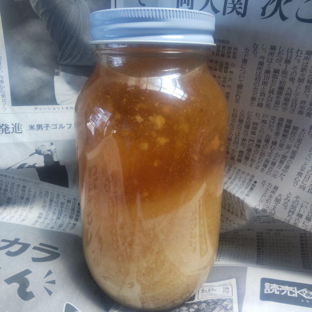日本蜜蜂　ニホンミツバチ　蜂蜜　ハチミツ　はちみつ　ソロキャンプ