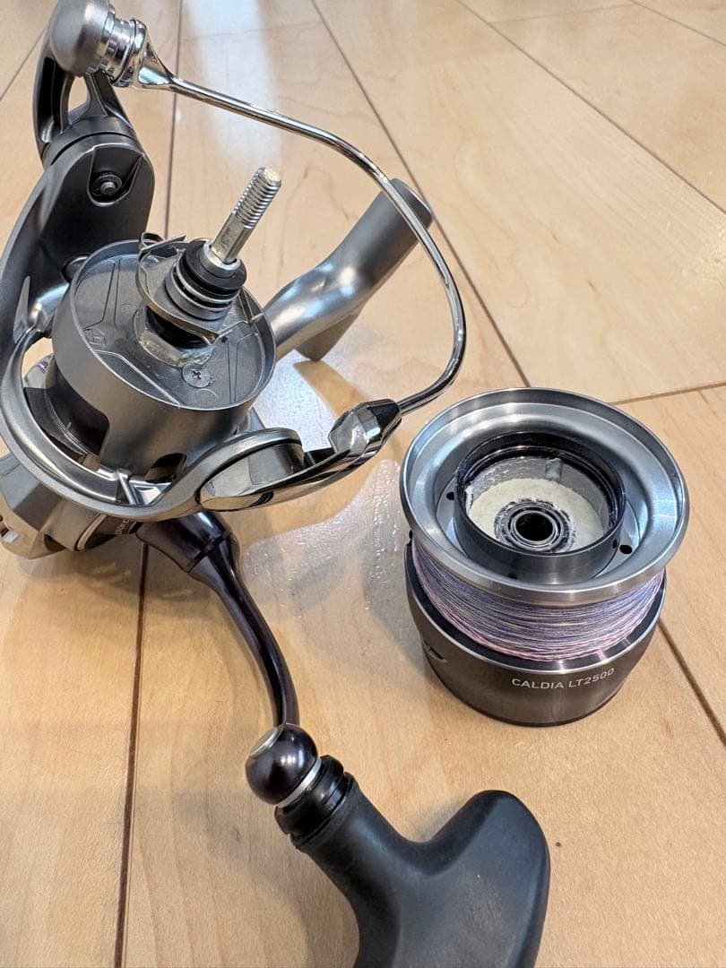 25カルディアLT2500 美品 ティップラン用エギ新品5本セット