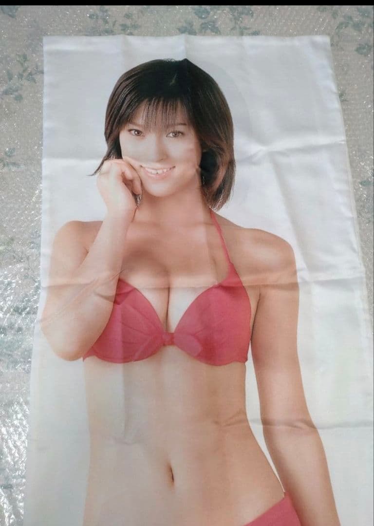 ハ*ん様 【公式　販売品】仲根かすみ　抱き枕カバー　未使用新品　清潔　当時物