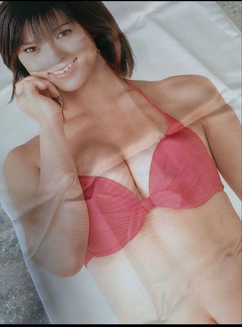 ハ*ん様 【公式　販売品】仲根かすみ　抱き枕カバー　未使用新品　清潔　当時物