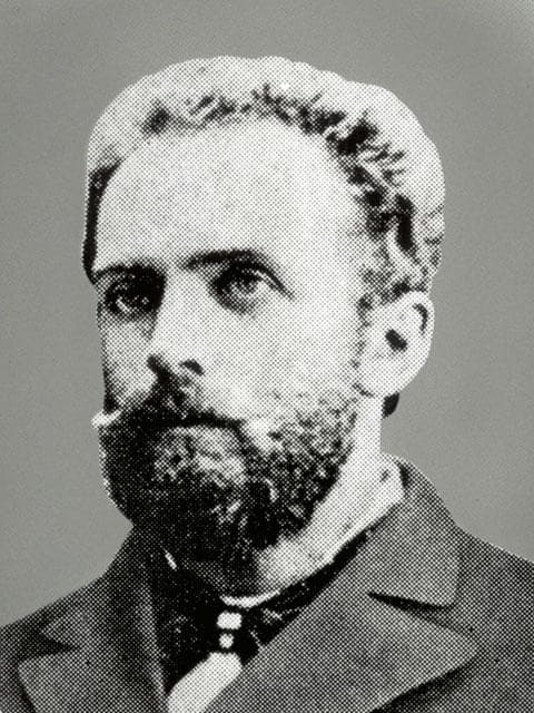 化石 モノチス モノティス 三畳紀 中生代 示準化石 志津川町 皿貝層群もの