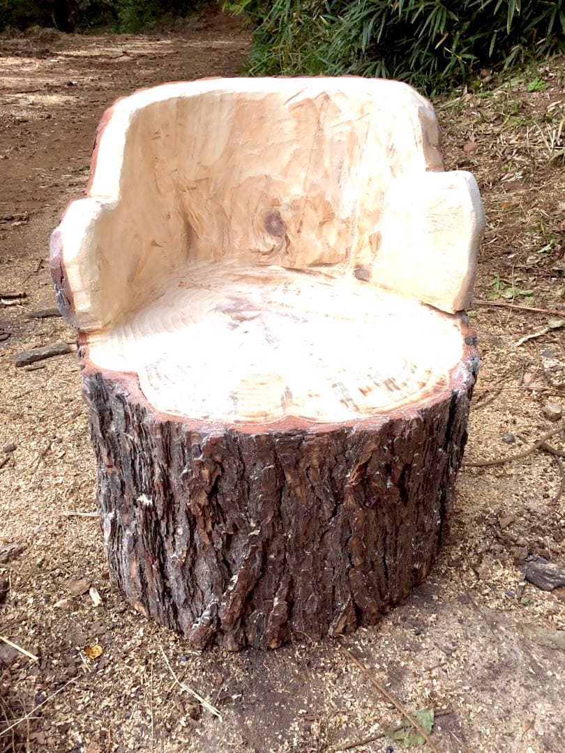 【販売済み】天然赤松/10/27に伐採しました赤松の大木でつくりました切り株椅子