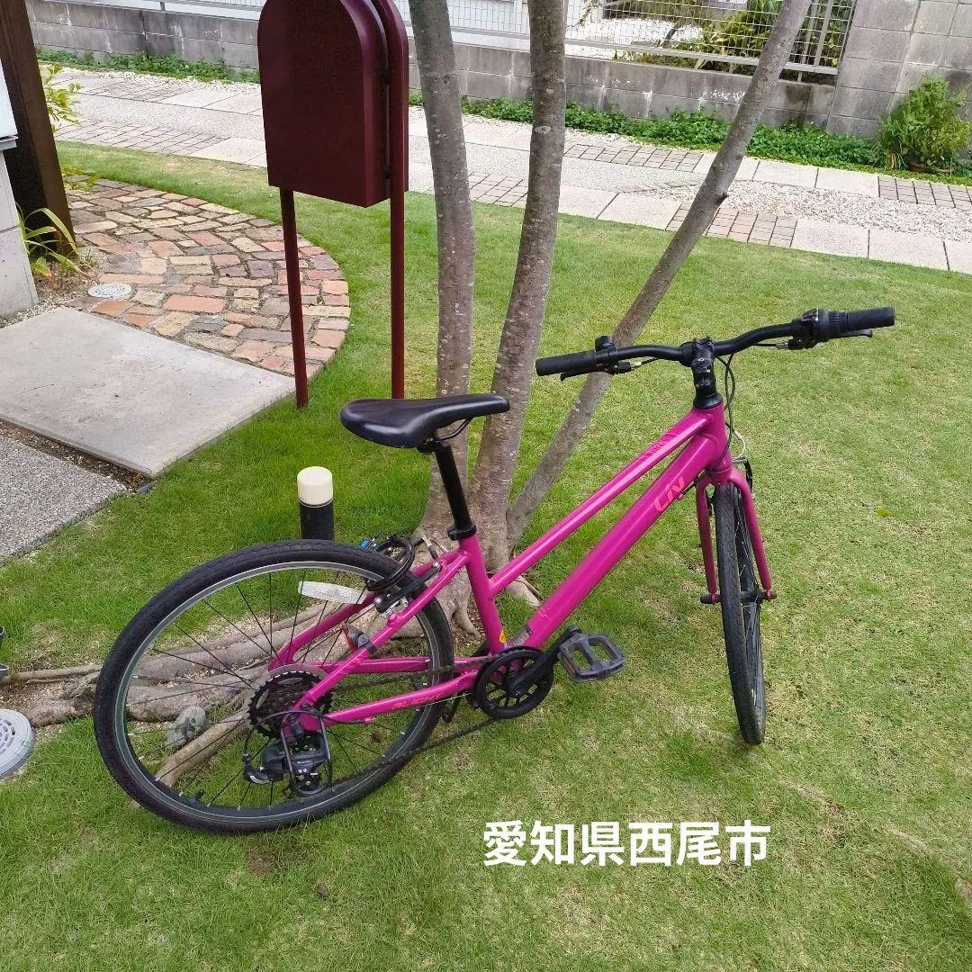 専用　GIANT liv 子供用クロスバイク　ALIGHT パープル