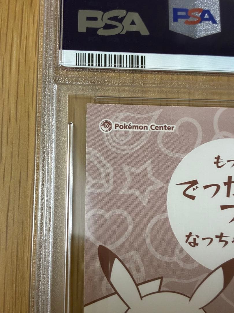 PSA10☆ポンチョを着たピカチュウ★名刺カード メガリザードン ポンチョ