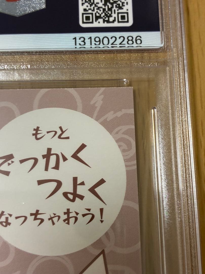 PSA10☆ポンチョを着たピカチュウ★名刺カード メガリザードン ポンチョ
