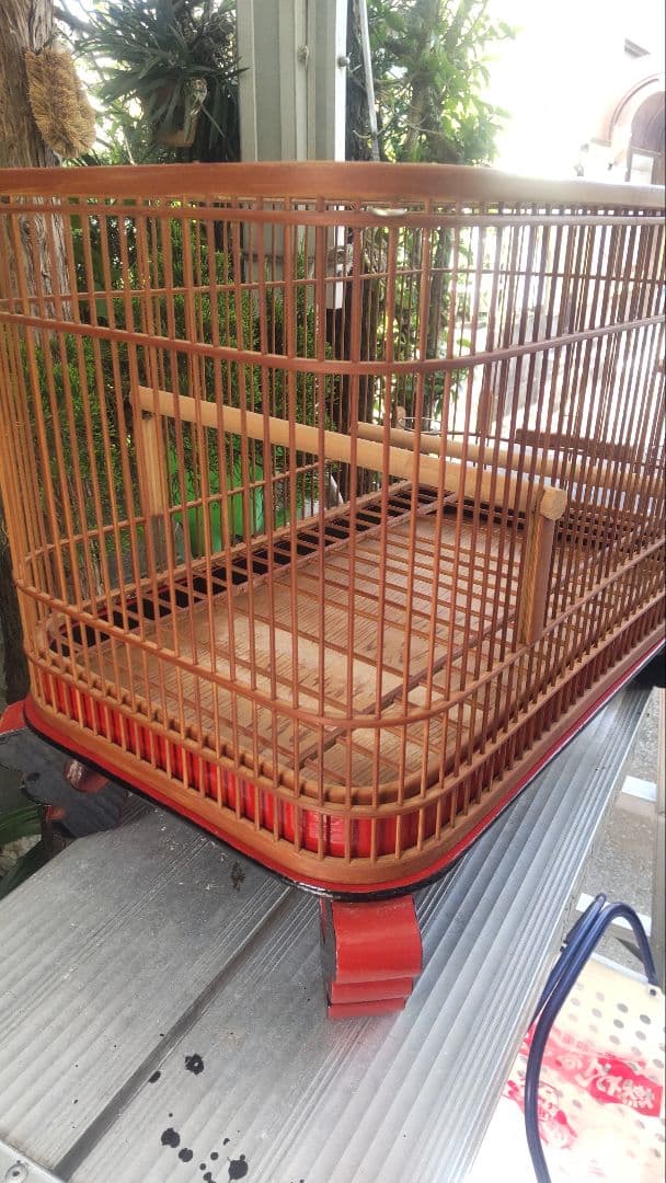 メジロ、ウグイス籠1点物屋根平丸籠