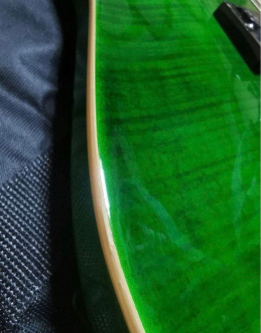 マスクSchecter PA-FC/TH shadows