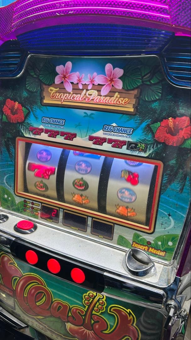 パチスロ実機 オアシス 家庭用電源