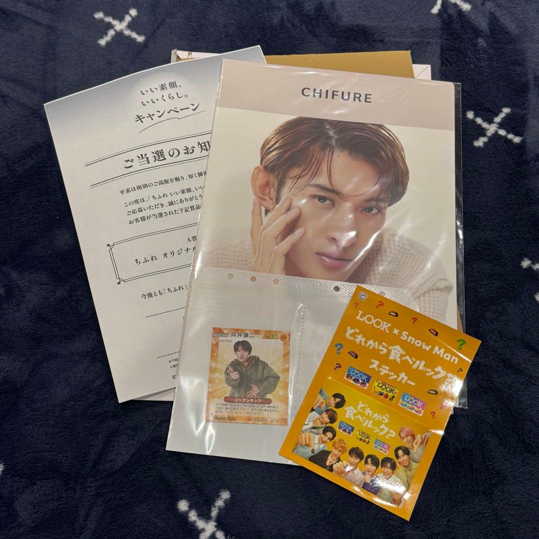 Man 向井康二　ちふれ　クリアファイル