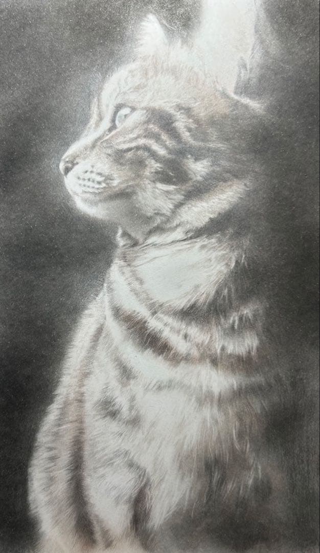 masa7716　猫猫　絵画