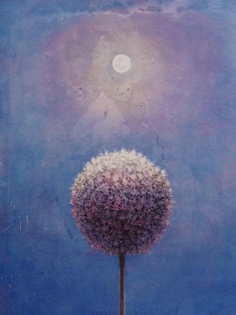 佳月優、花姿、希少な額装用画集より、新品高級額装付、状態良好