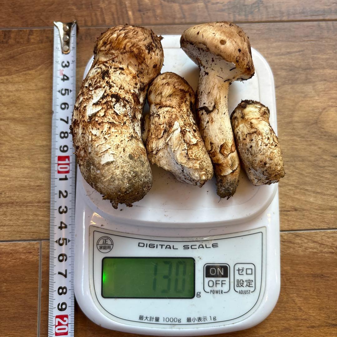 長野県南信州産‼️松茸 大小　4本セット 130g 10/24朝採れ