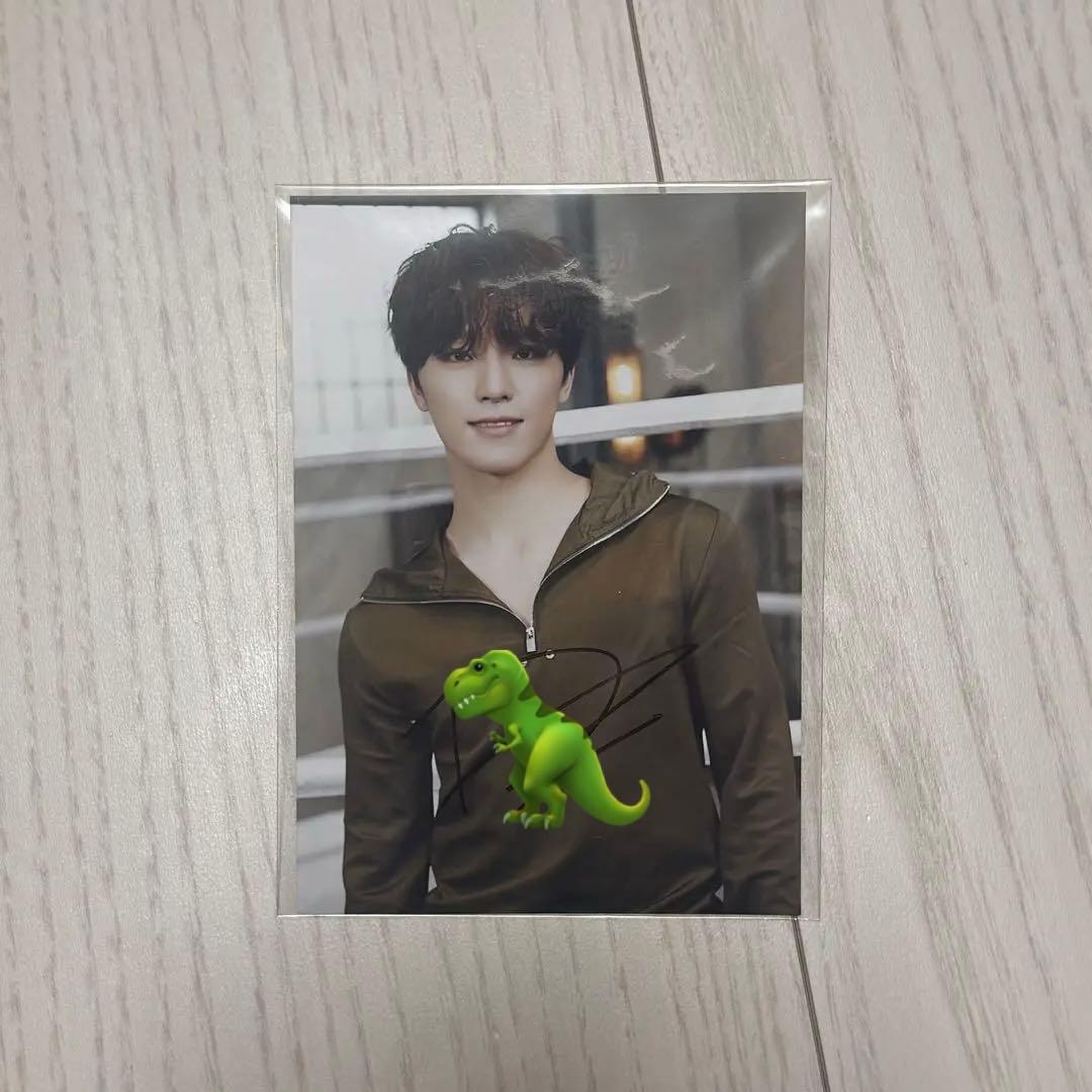 ディノ FML 直筆 サイン 生写真