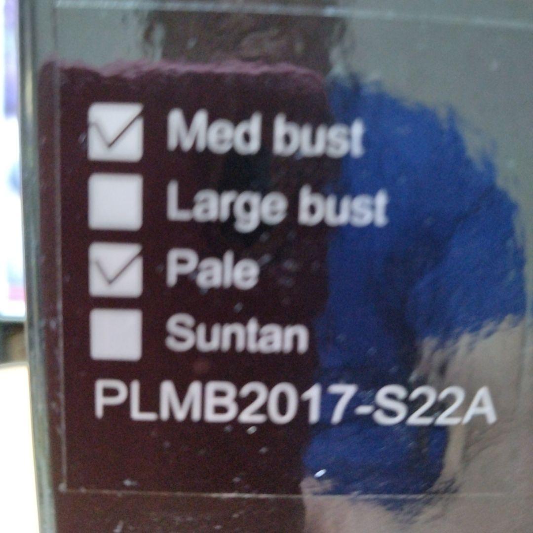 春日野さくら　1／6フィギュア、フルセット