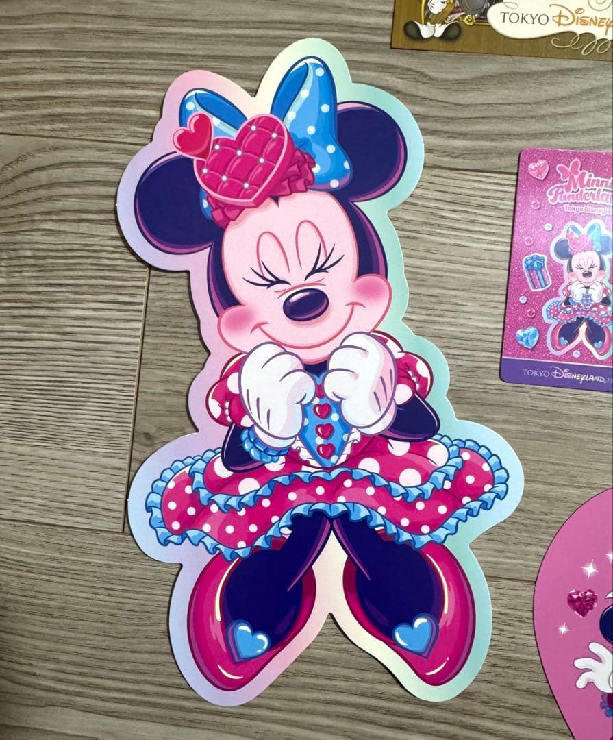 ミニーのファンダーランド ディズニーランドホテル カードキー&キーケース