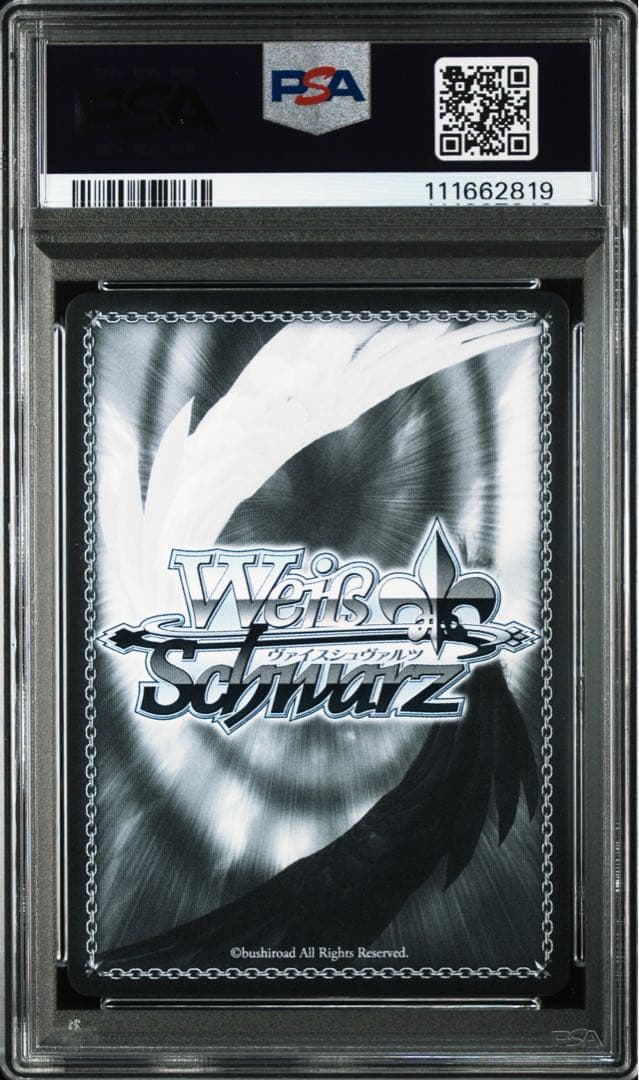 ふたりじめビーチ　SSP PSA10