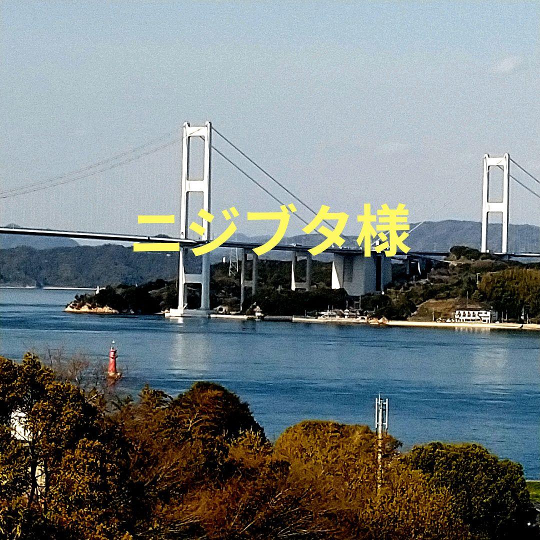 ニジブタ　　　璃の香レモン