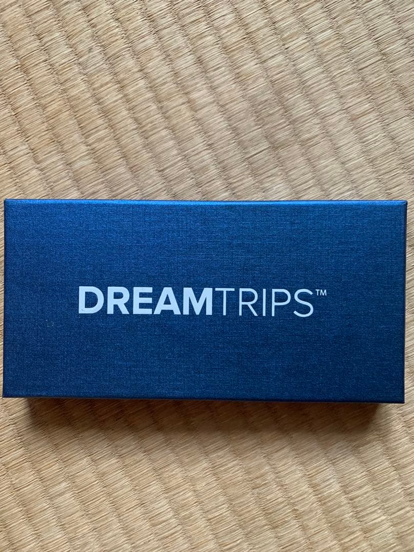 DREAMTRIPS ボールペンとUSBライトセット