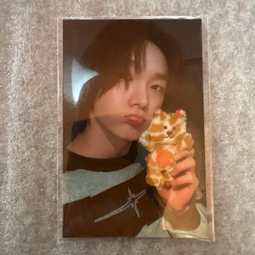 BOYNEXTDOOR BBNEXDO CATBBI ソンホ　キーリング